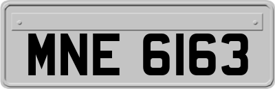 MNE6163