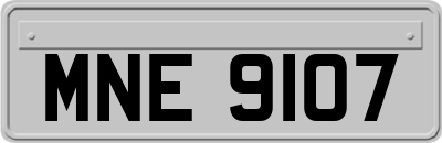 MNE9107
