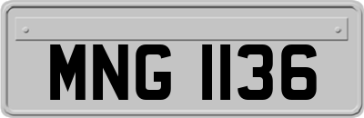 MNG1136