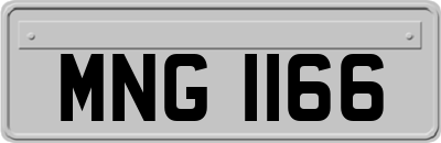 MNG1166