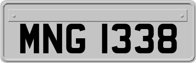 MNG1338