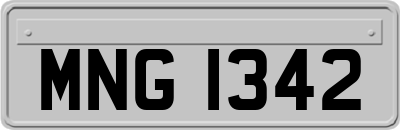 MNG1342