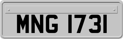 MNG1731