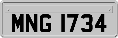 MNG1734