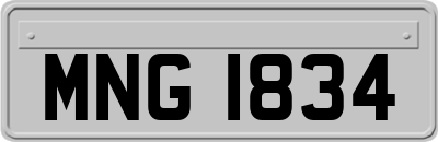 MNG1834