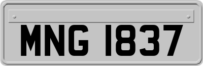 MNG1837