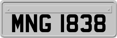 MNG1838