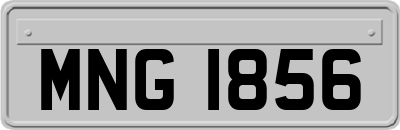 MNG1856