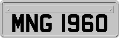 MNG1960