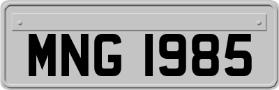 MNG1985