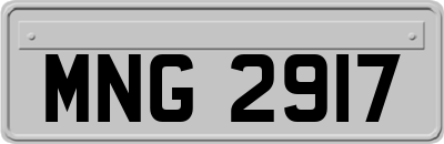 MNG2917