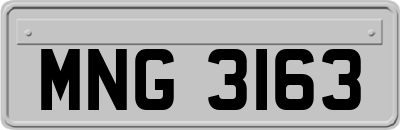 MNG3163