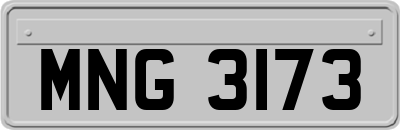 MNG3173