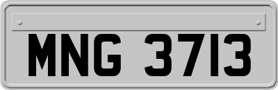 MNG3713