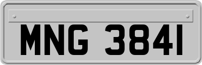 MNG3841