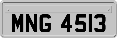 MNG4513