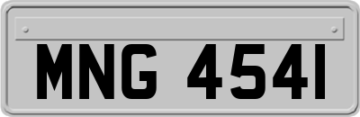 MNG4541