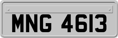 MNG4613