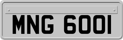 MNG6001