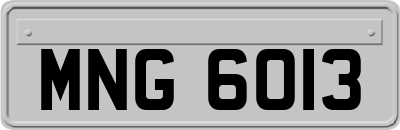 MNG6013