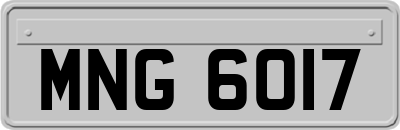 MNG6017