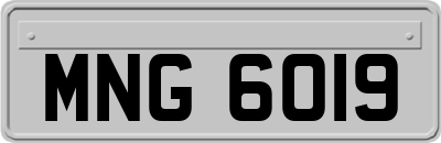 MNG6019