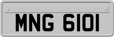 MNG6101