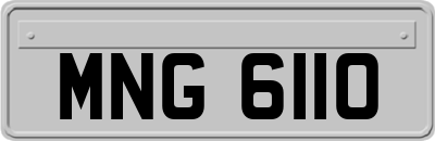 MNG6110