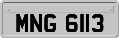 MNG6113