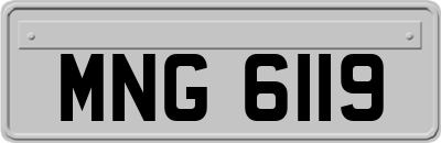 MNG6119