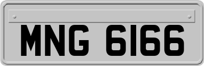 MNG6166