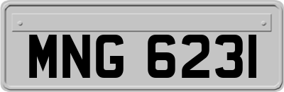 MNG6231