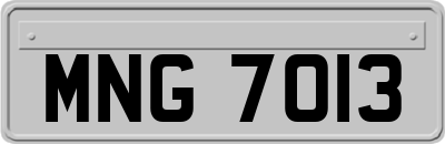 MNG7013