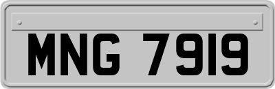 MNG7919