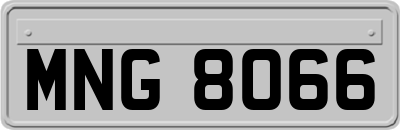 MNG8066