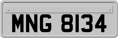 MNG8134