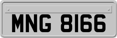 MNG8166