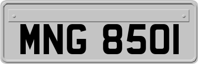 MNG8501