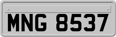 MNG8537