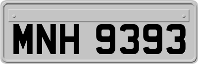 MNH9393