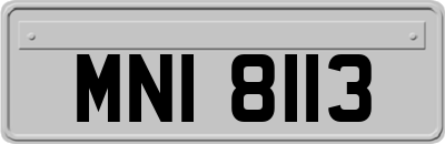 MNI8113