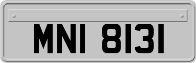 MNI8131