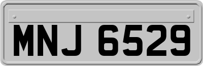 MNJ6529