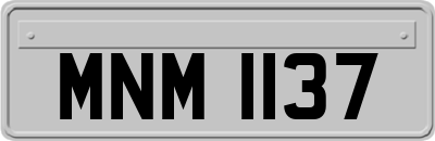 MNM1137