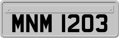 MNM1203