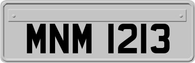 MNM1213