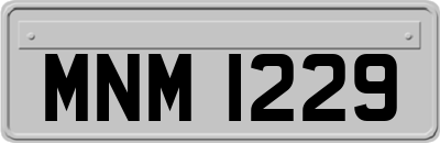 MNM1229