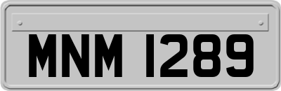 MNM1289