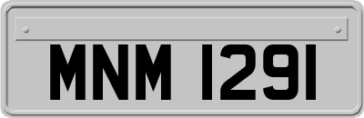 MNM1291