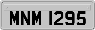 MNM1295